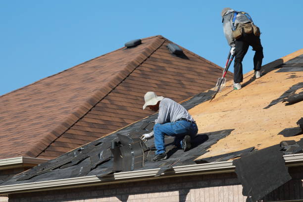 Best Asphalt Shingle Roofing  in Daleville, VA