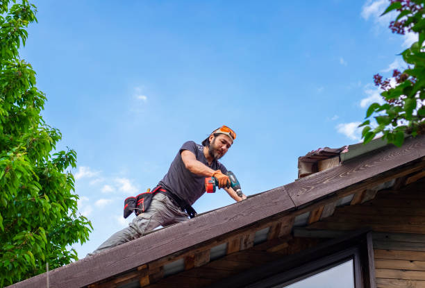 Trusted Daleville, VA Roofing services Experts